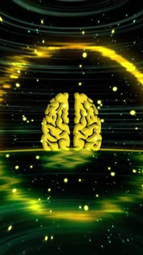 Vertical Brain Power