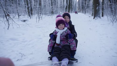 Amusement hivernal en famille dans la forêt enneigée avec une mère tirant des enfants sur des traîneaux