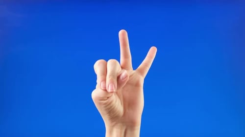 Female Palm Hand Counting to Five on a Chroma Key Studio Background Close Up Woman Gesturing Count