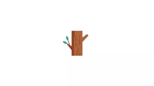 Flat Design Animation of a Tree Growing Leaves