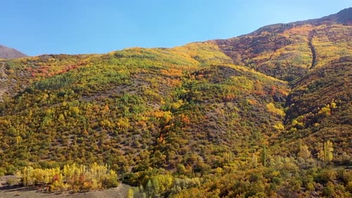 Vue aérienne des collines avec des arbres colorés en automne
