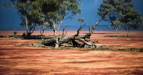 Landscape with Dry Trees and Red Earth Under a Clear Blue Sky