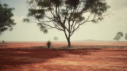 A Scenic Landscape with Red Dirt Field and Trees in the Distance