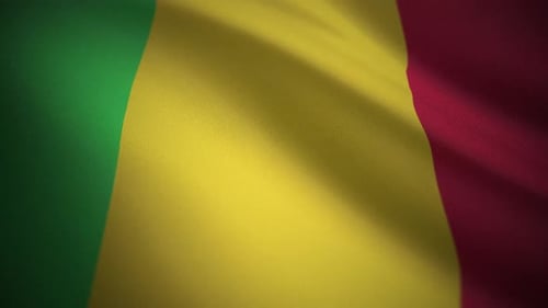 Realistic Waving Mali National Flag Loop