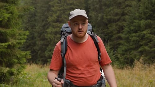 Man Hiking in Forest Wipes Forehead, Looks Around
