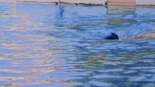 Side View of a Professional Female Swimmer with Goggles at the Pool A Woman Swimmer Dives Into a