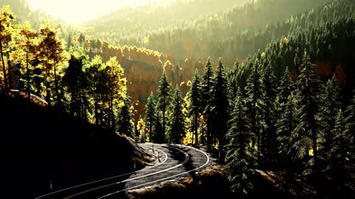 An Empty Road Winding Through a Beautiful Forest at Sunset