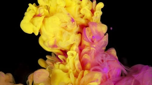Abstract Yellow and Pink Paint Swirling in Water