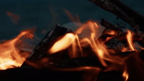 Rotes und orangefarbenes Feuer, das aus dem Holz kommt, das im Sommer brennt