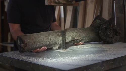 Man Cutting Wood Log With Band Saw