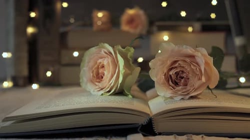 Open Book with Roses and Fairy Lights