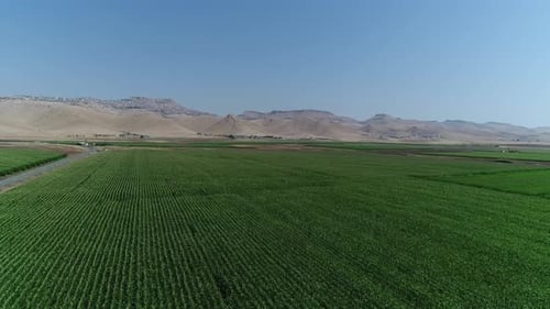 Perfect Fields 4K Drone