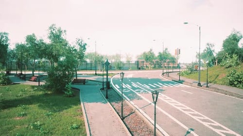 Country Asphalt Road and Green Trees Nature Landscape in the Summer