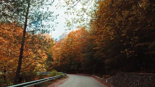 Mountain Road Traveled with Autumn Colors