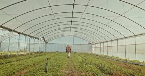 Farmer Walking Through a Greenhouse