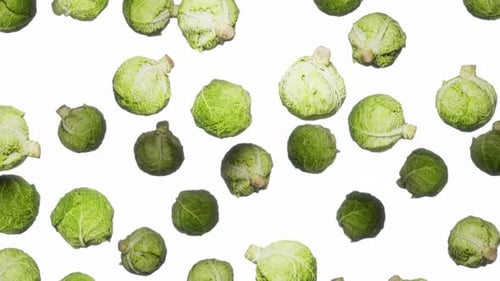 Fresh Cabbage Vegetables Falling on White Background Loop