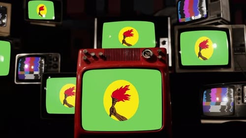 Flag of Zaire (1971–1997) on Retro TVs. 4K.