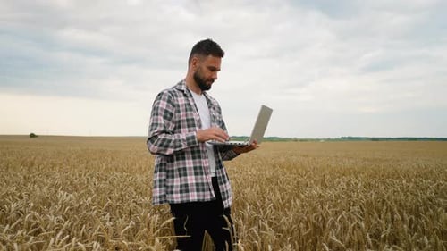 Modern Agronomist Using a Laptop in a Golden Wheat Field