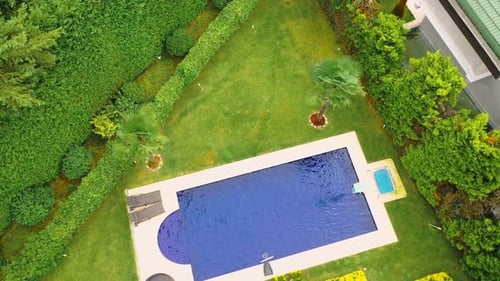 a swimming pool in greenery