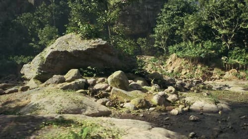 Sundrenched Valley Floor with Scattered Stones and Dense Vegetation