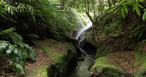 Arroyo que fluye y salpica sobre las rocas del bosque tropical. Parque das Frechas en Agualva
, Portugal. w