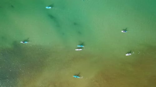 SUP surfers paddling along a Mediterranean coast