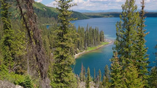 Tall Forest Trees Surround Beautiful Blue Lake Water