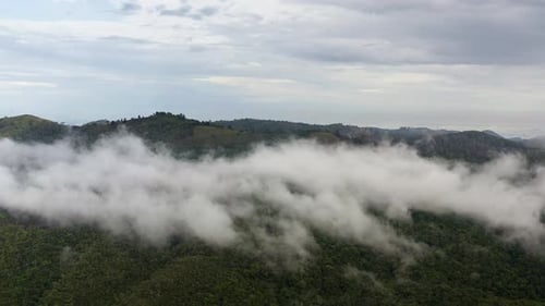 Drohnenaufnahme von Wolken, die über Berge ziehen, am üppigen Morgen grüner Hügel, bedeckt von Tropical R