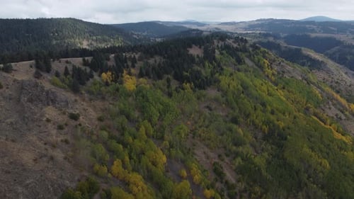 Drone 4K de la magnifique forêt d'automne