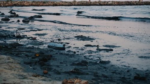 View of Plastic Trash and Black Slime on the Seashore Ecology Problems
