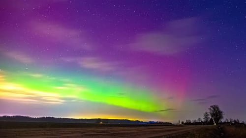 Purple And Green Aurora Borealis On Starry Night Sky. low angle, timelapse shot