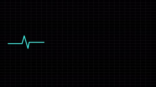 Digital Heart Scan Interface