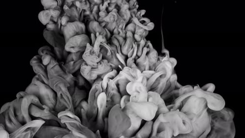 Black and White Ink Paint Blending in the Water in Slow Motion Ink Liquid Underwater on Black