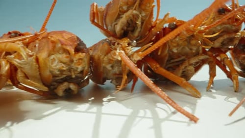 leftovers from boiled crayfish, heads close-up, against a blue sky