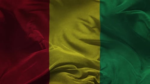 Realistic Fabric Waving Guinea Flag