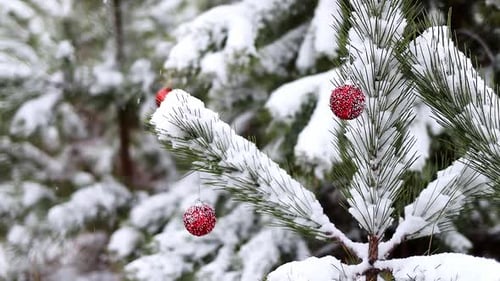 Fabulous winter forest landscape. Christmas tree. The atmosphere of Christmas and New Year.