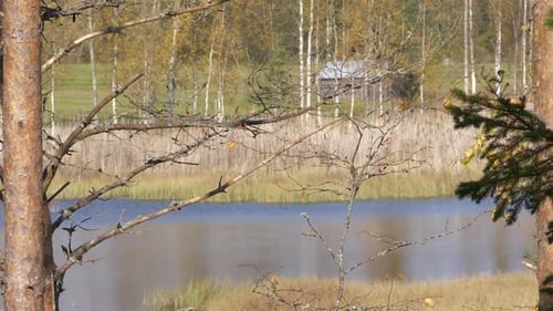 Autumn lake in Finland, static flat