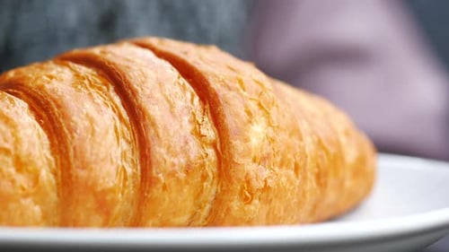 Fresh Baked Croissant on Plate with Copy Space