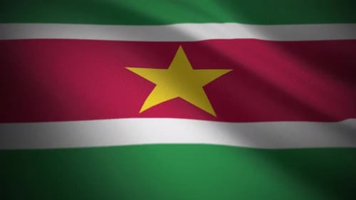 Realistic Animated Waving Flag Loop