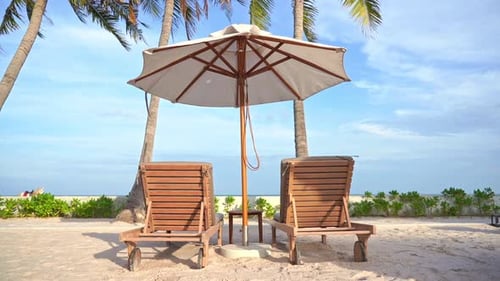 Lounge Chairs and Umbrella on a Tropical Beach