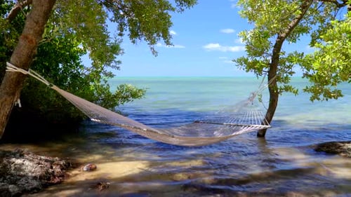Hammock strung between trees near beautiful turquoise ocean