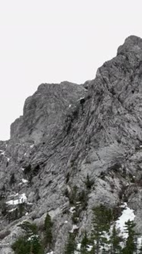 Vertical Video Turkish Winter Forest Cinematography Aerial View of Mountains River and Serene