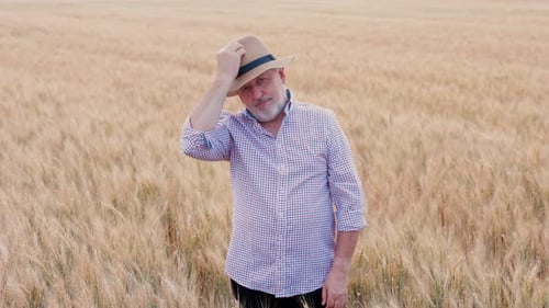 Portrait Caucasian Farmer Man in Plaid Shirt in Hat and Looking in Field Farmland Sunset Landscape
