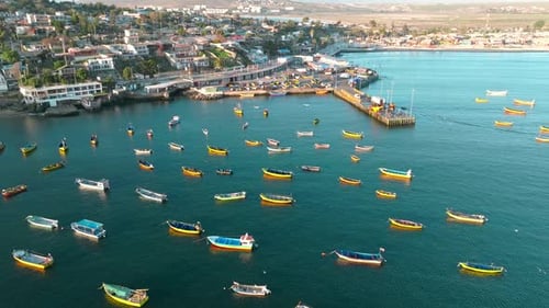 Drone flying forwards revealing several little boats moored in sunny bay. Aerial.