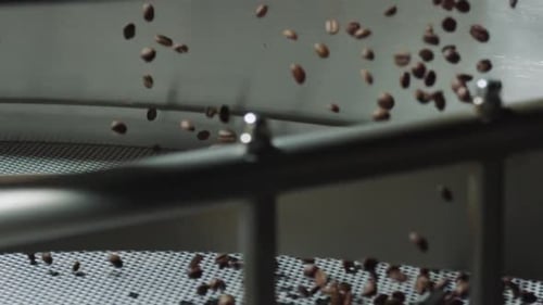 Coffee beans rotating in industrial roaster