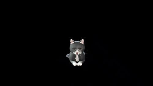Looping 3D Cat Animation with Opening Eyes