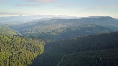 Aerial View of Mountains Covered with Forest Trees with Blue Sky Above