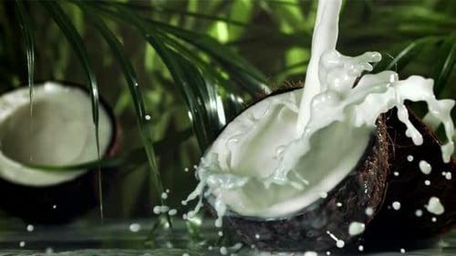 Milk is Poured Into Half a Coconut with a Splash Filmed on a Highspeed Camera at 1000 Fps