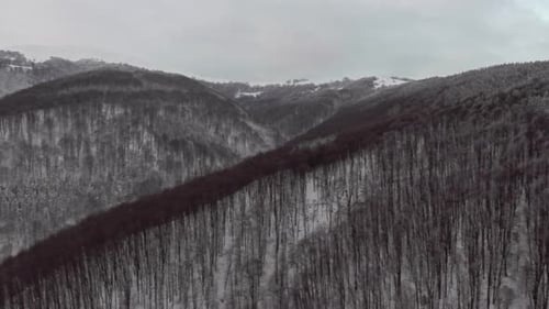 Aerial View of a Scenic Mountains Covered with Forests in Wintertime