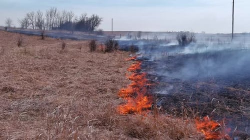 Aerial View Burning Dry Grass Fire Fire Line